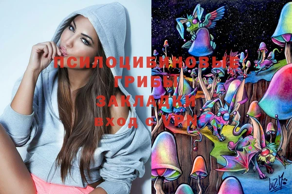 марки lsd Горняк