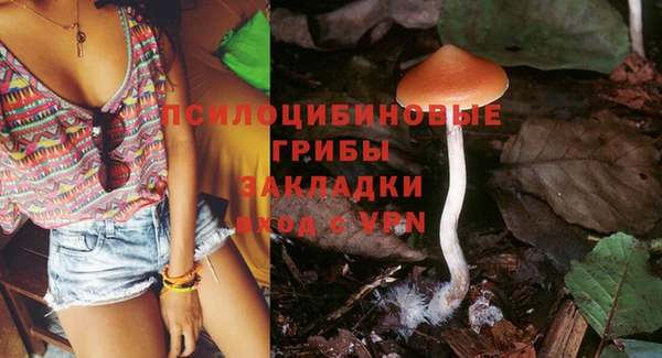 прущая мука Горнозаводск