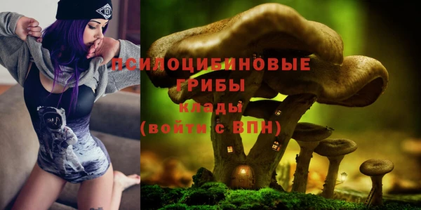 прущая мука Горнозаводск