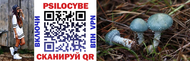 Псилоцибиновые грибы MAGIC MUSHROOMS  купить наркотики цена  Норильск 