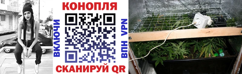 Шишки марихуана SATIVA & INDICA  Норильск 